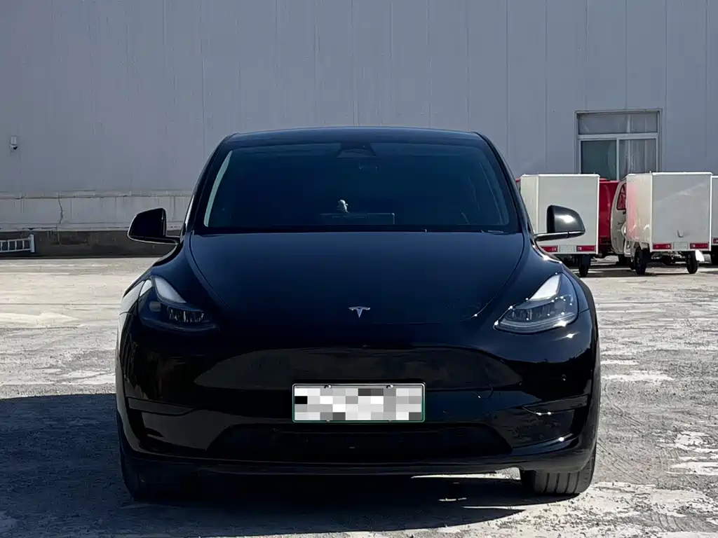 Tesla Model Y — миниатюра 2