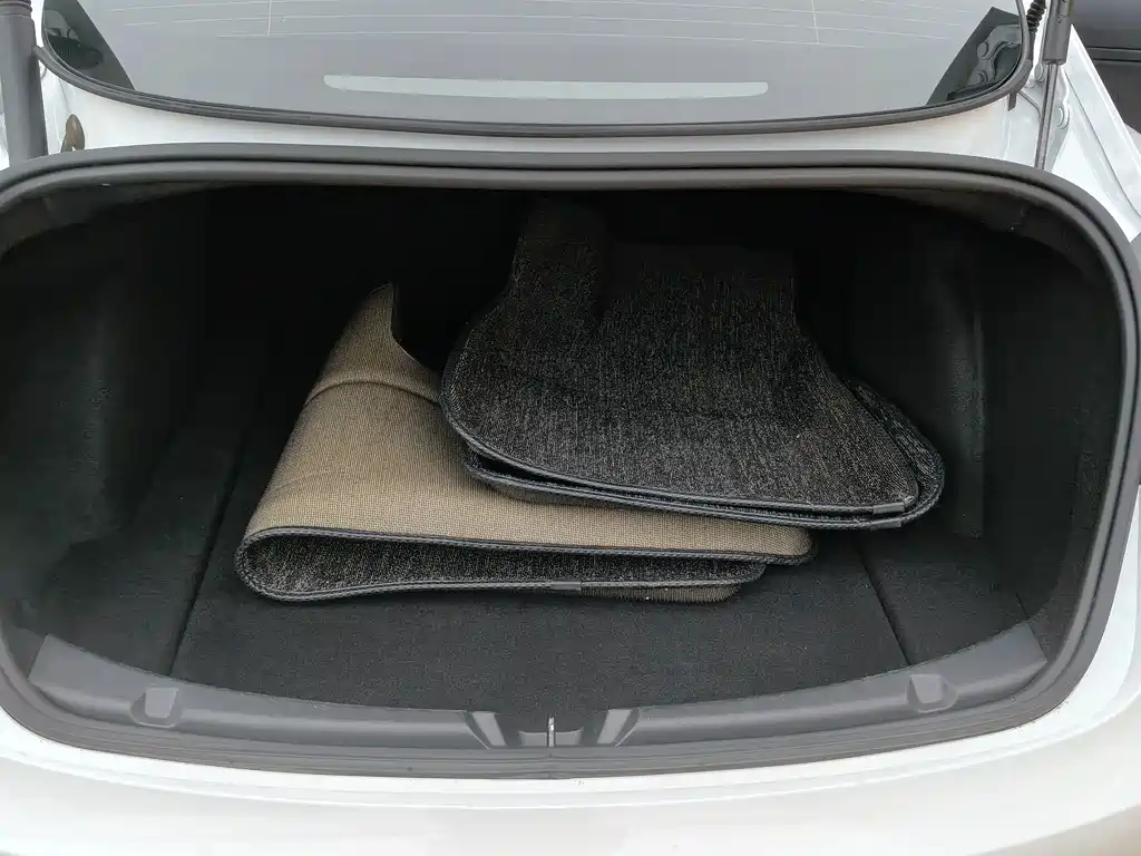Tesla Model 3 — миниатюра 14