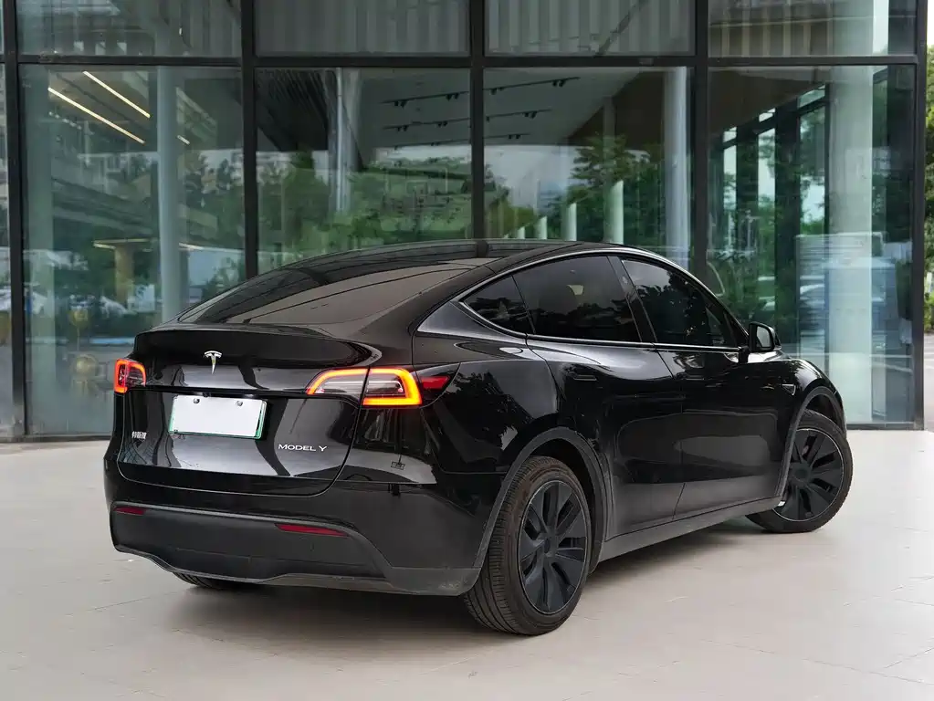 Tesla Model Y — миниатюра 11