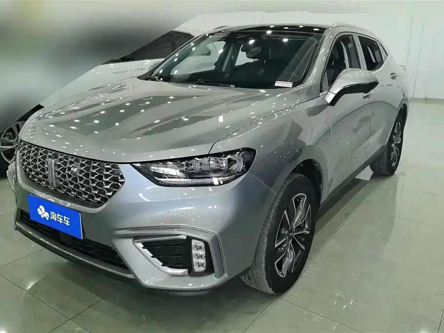 Купить Wey Wey VV5