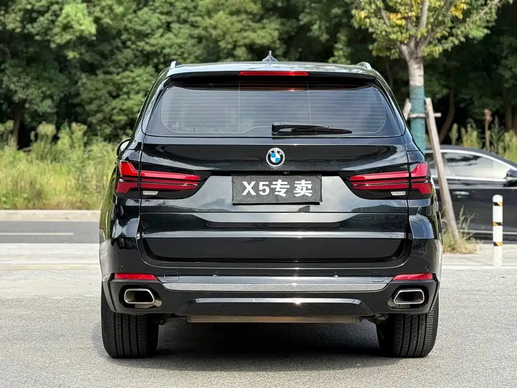 BMW X5 (Import) — миниатюра 16