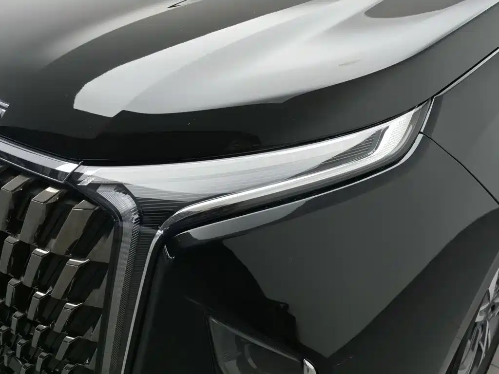 MAXUS G90 — миниатюра 7