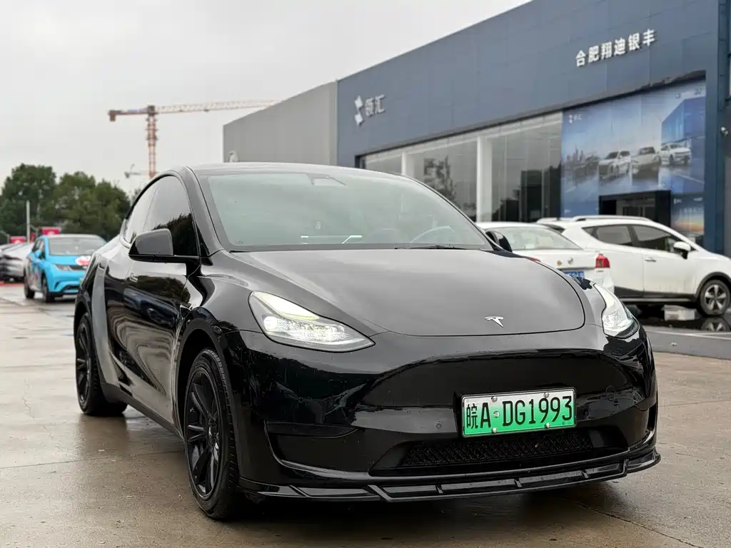 Tesla Model Y — миниатюра 3
