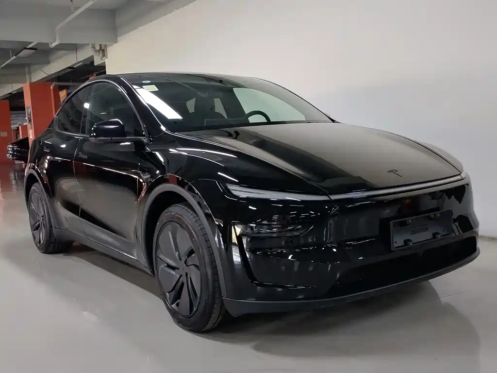 Tesla Model Y — миниатюра 3
