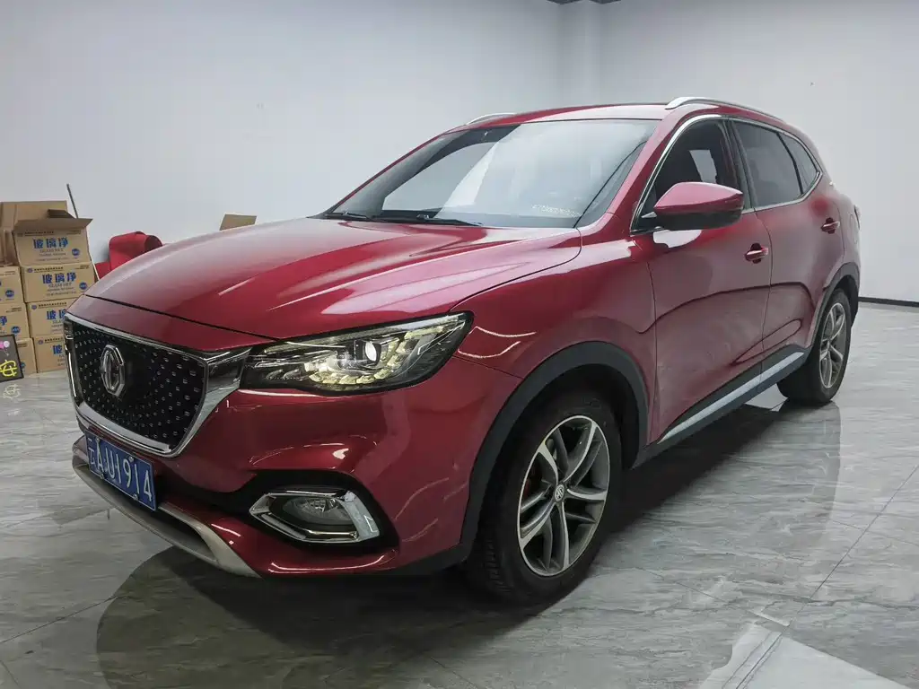 Mg HS 2019