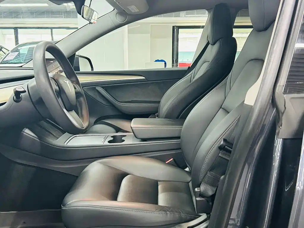 Tesla Model Y — миниатюра 8