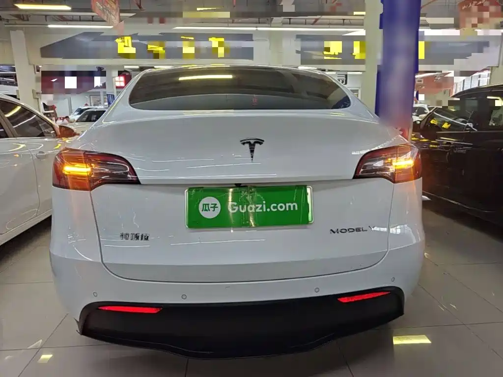 Tesla Model Y — миниатюра 6