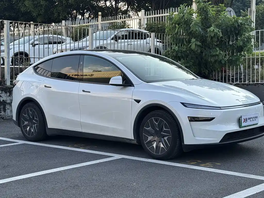 Tesla Model Y L — миниатюра 7