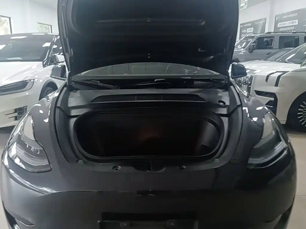 Tesla Model Y — миниатюра 20