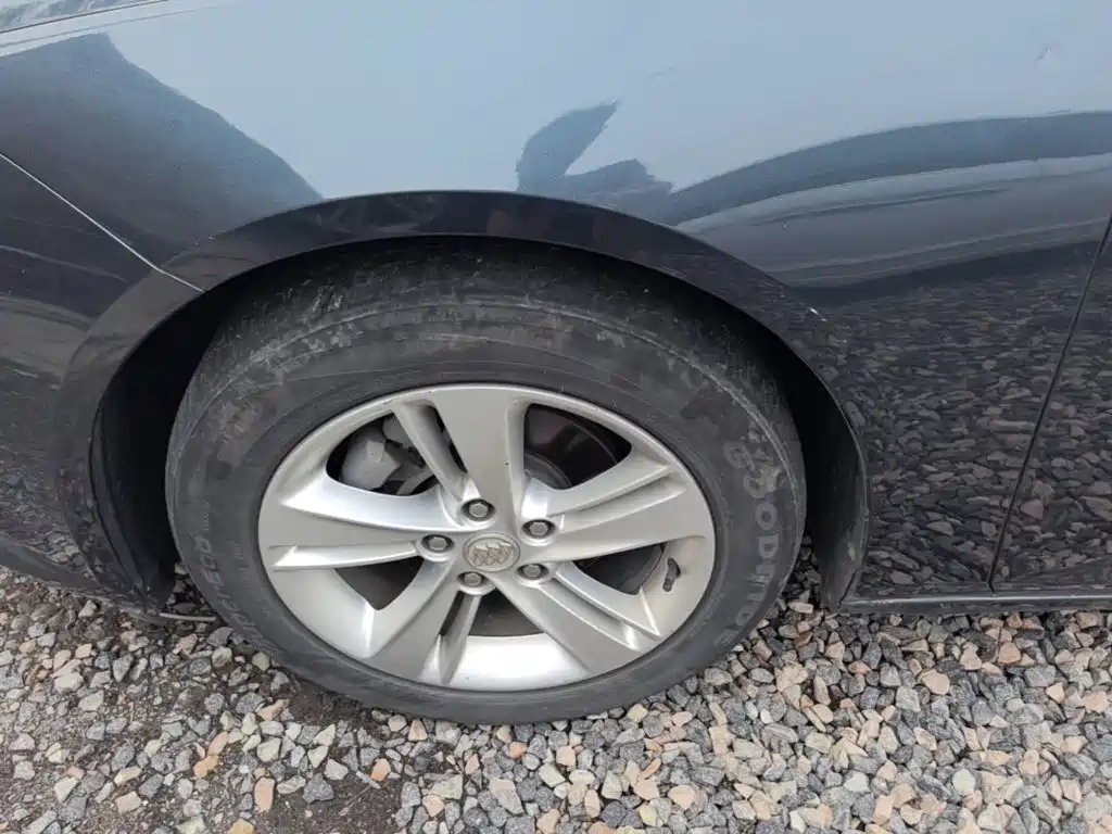 Buick Regal — миниатюра 23