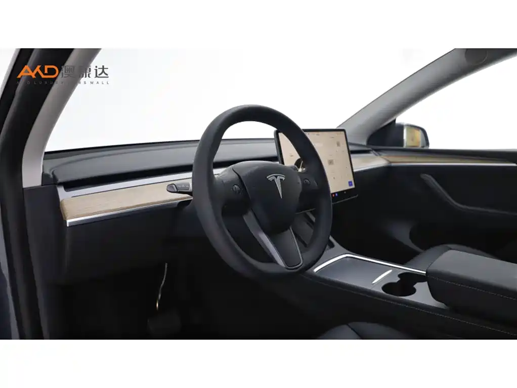 Tesla Model Y — миниатюра 6