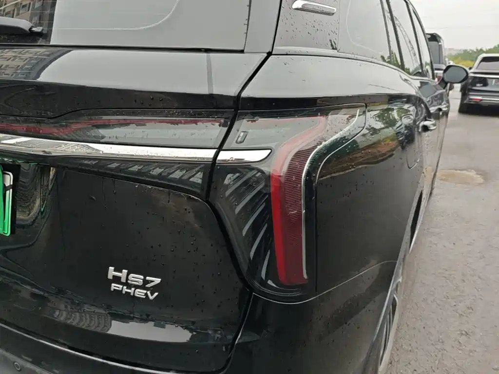 Hongqi Hongqi HS7 PHEV — миниатюра 8
