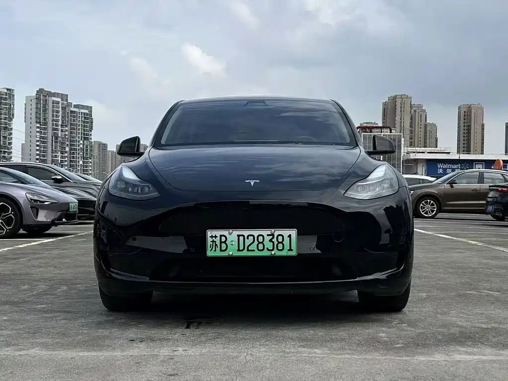 Tesla Model Y — миниатюра 2