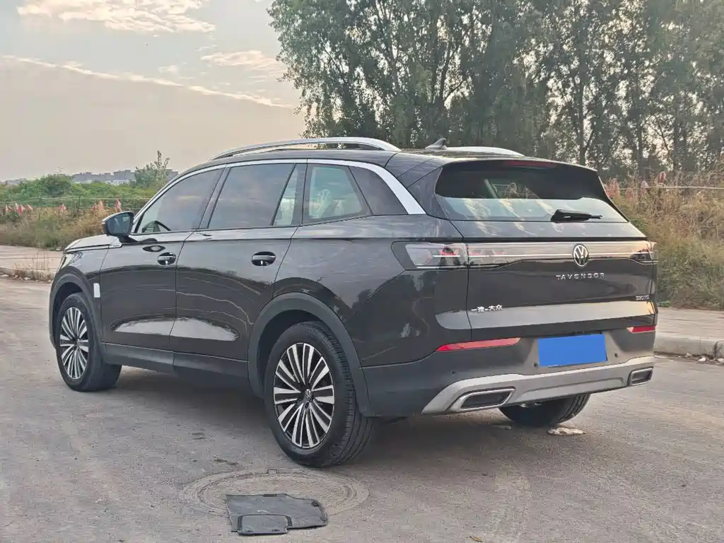Volkswagen Tavendor — миниатюра 9