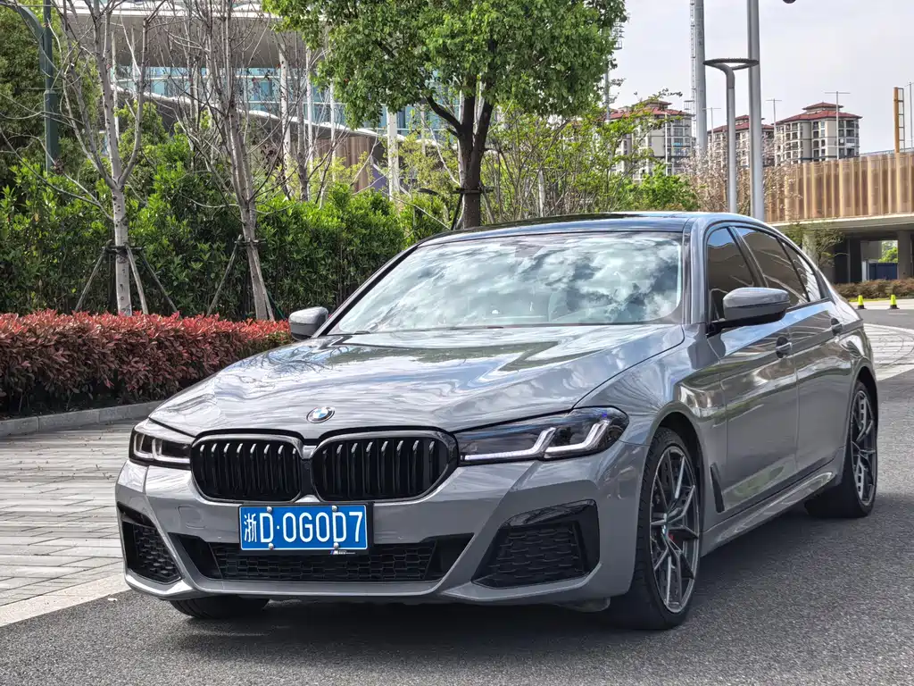 BMW 5 Series 2019