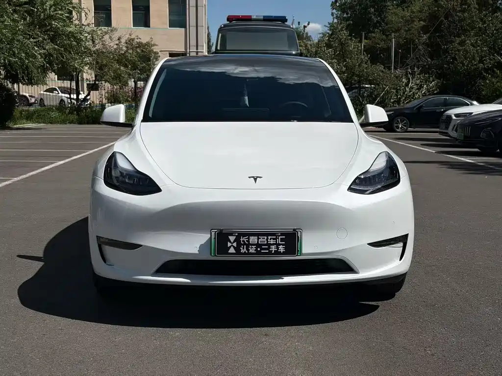 Tesla Model Y — миниатюра 2