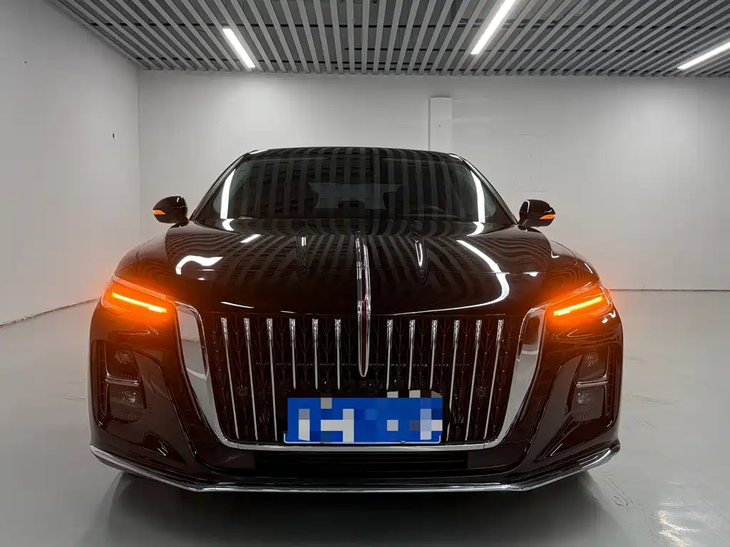 Hongqi Hongqi H5 — миниатюра 2