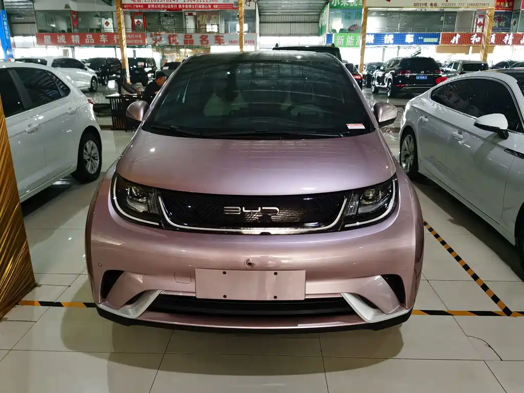 BYD Dolphin — миниатюра 2