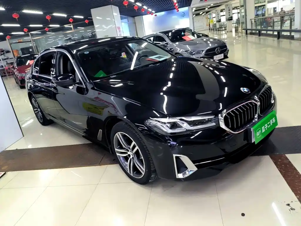 BMW 5 Series — миниатюра 4