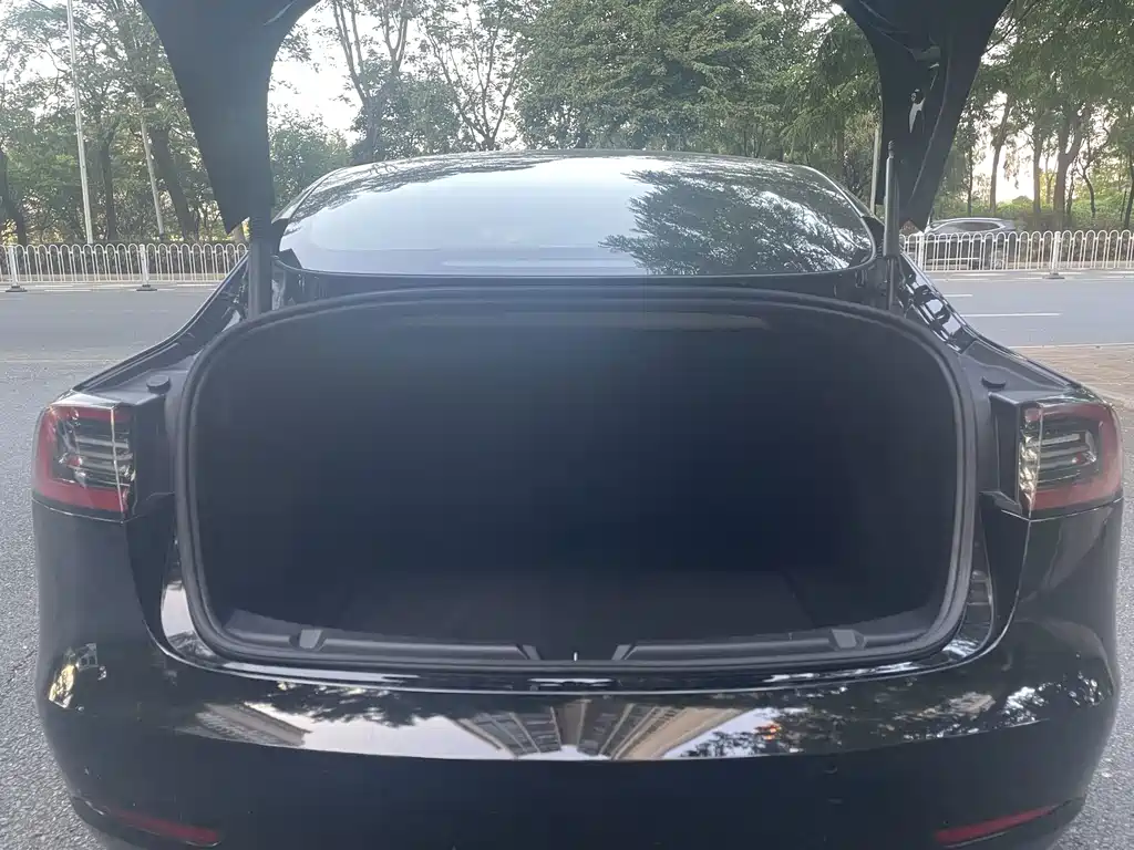 Tesla Model 3 — миниатюра 18