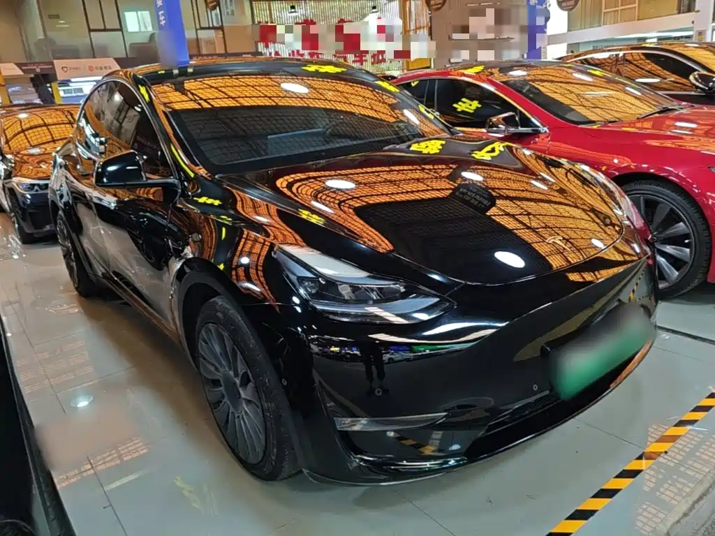 Tesla Model Y — миниатюра 4