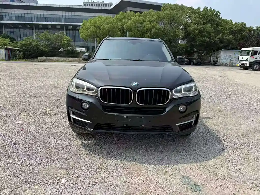 BMW X5 (Import) — миниатюра 2