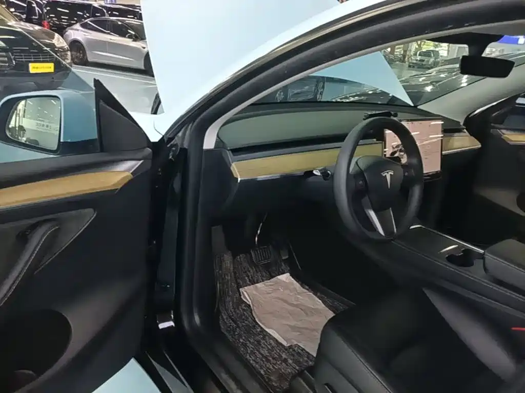 Tesla Model Y — миниатюра 16