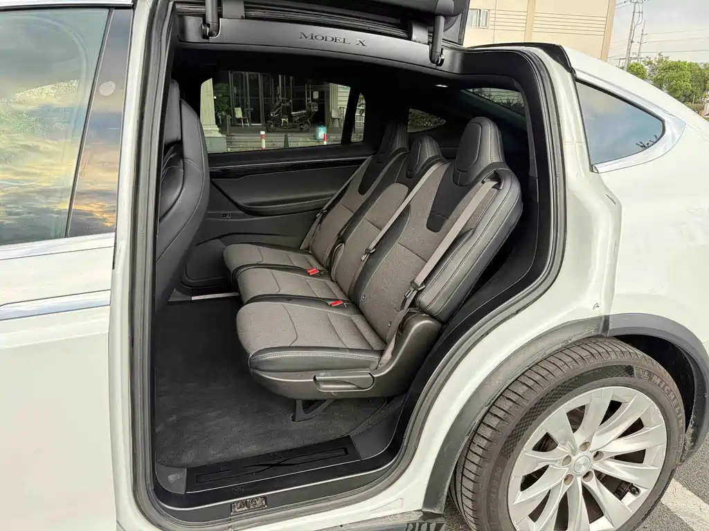 Tesla Model X — миниатюра 14