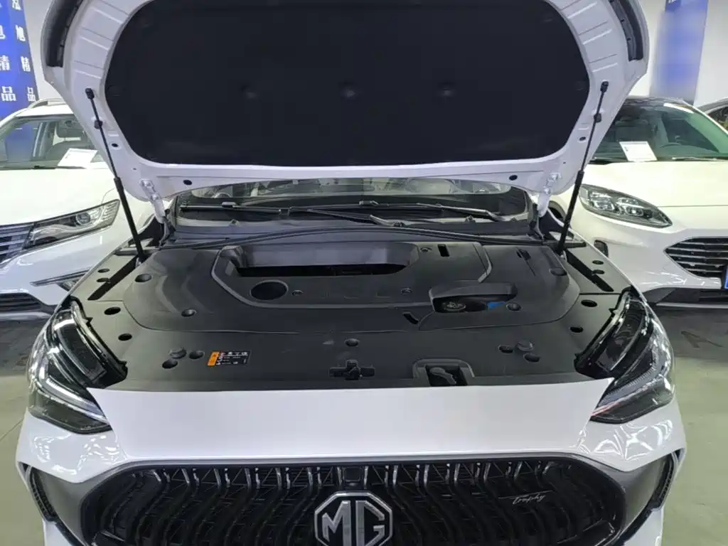 MG Pilot — миниатюра 20