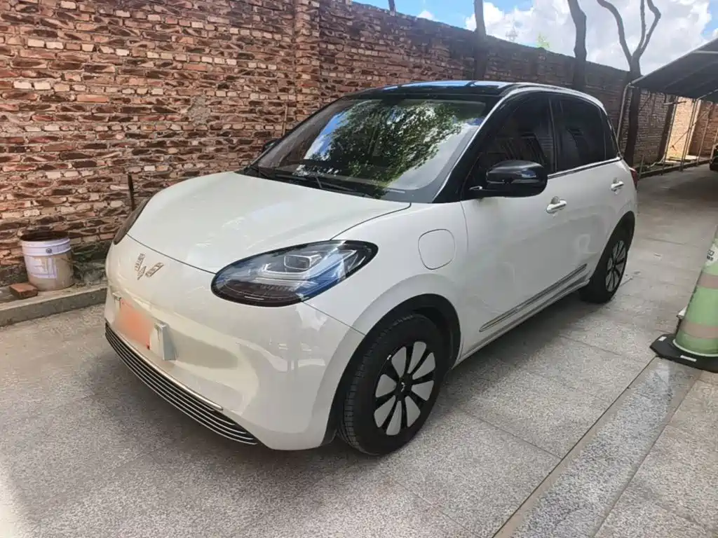Wuling Binguo 2023 333km +