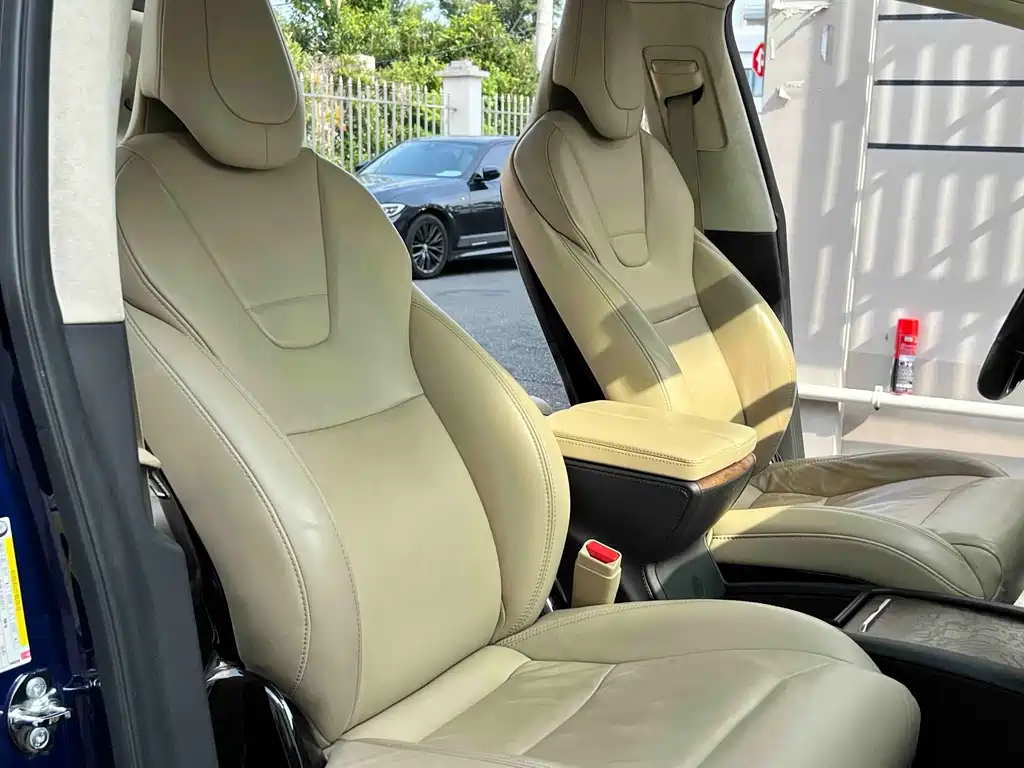 Tesla Model X — миниатюра 12