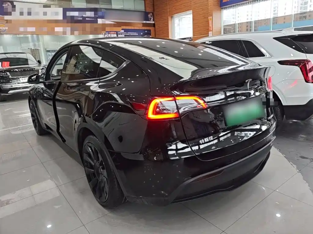 Tesla Model Y — миниатюра 5