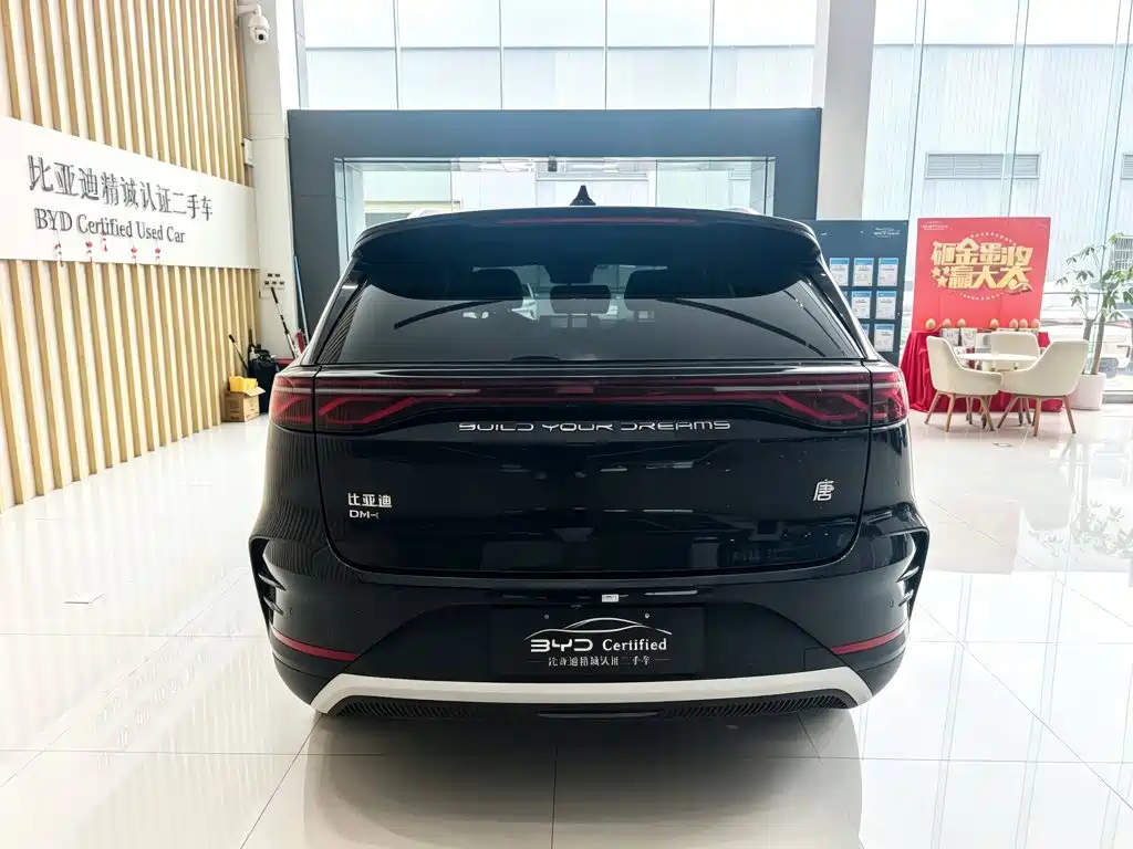 BYD Tang New Energy — миниатюра 5