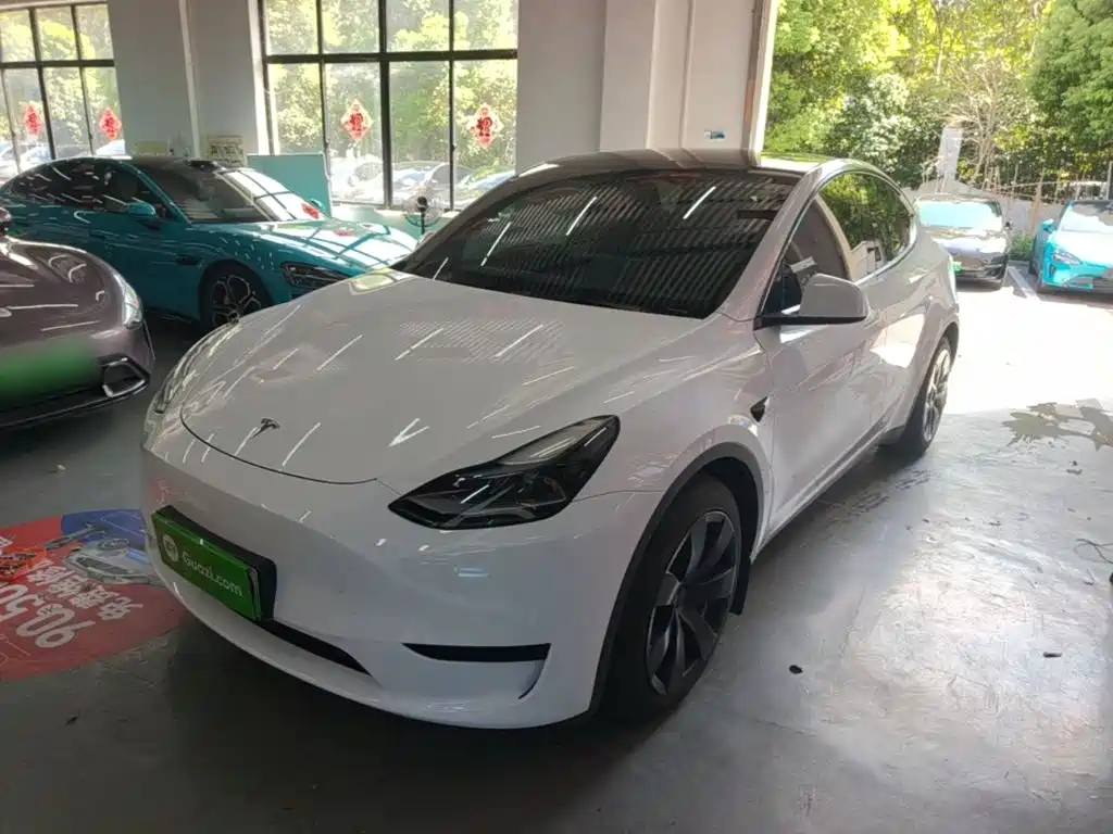 Tesla Model Y — миниатюра 2
