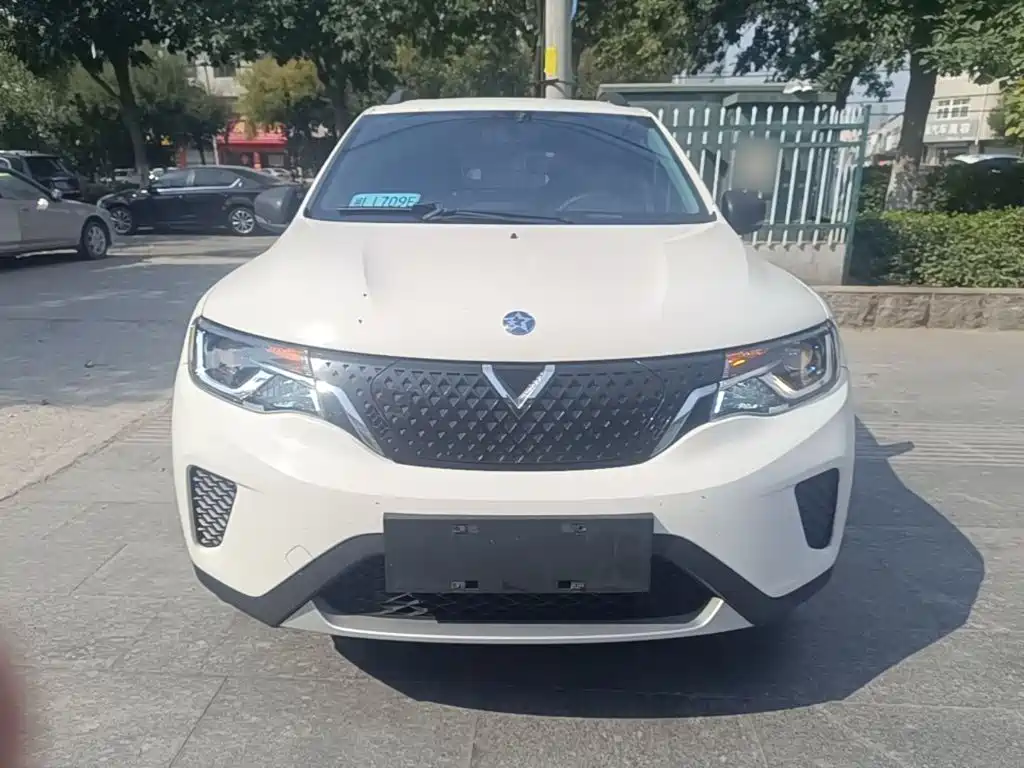 Venucia e30 — миниатюра 3