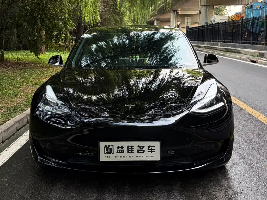Tesla Model 3 — миниатюра 2