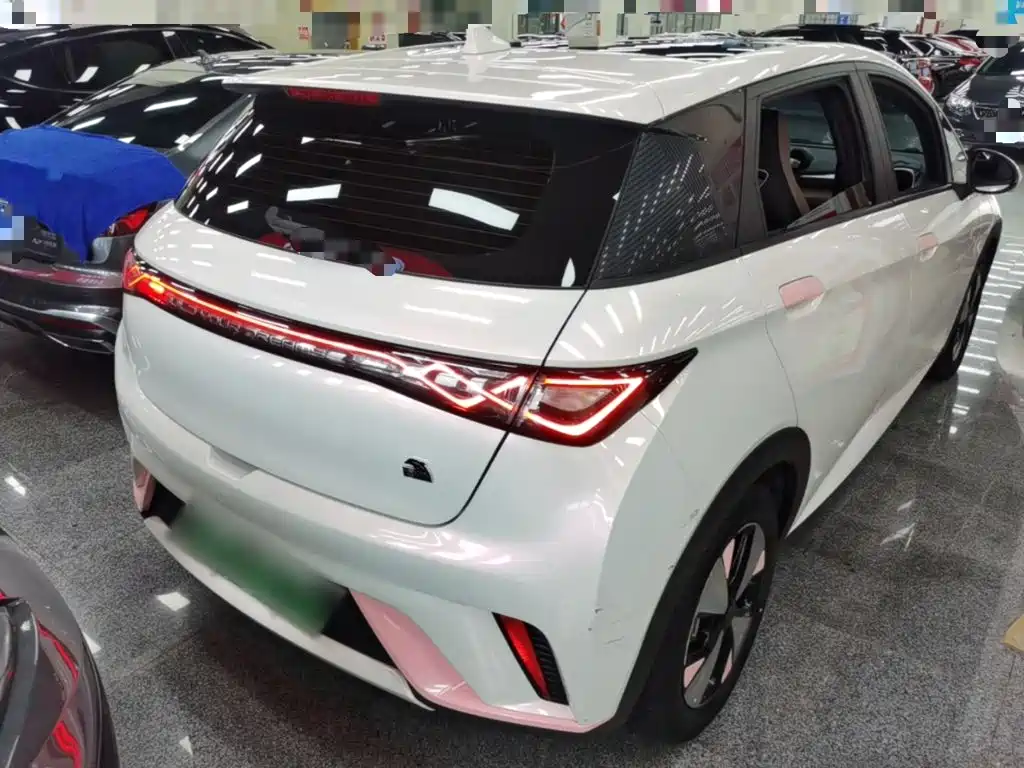 BYD Dolphin 2023 420km Fashion
