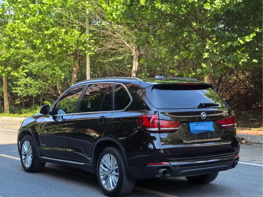 BMW X5 (Import) — миниатюра 4