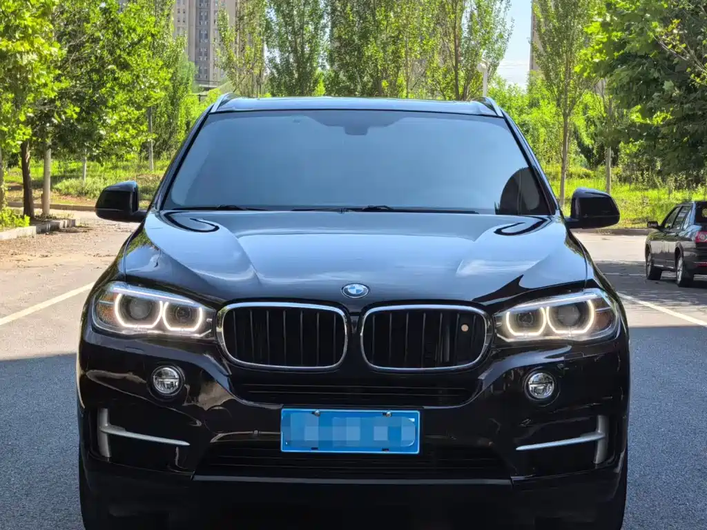 BMW X5 (Import) — миниатюра 2