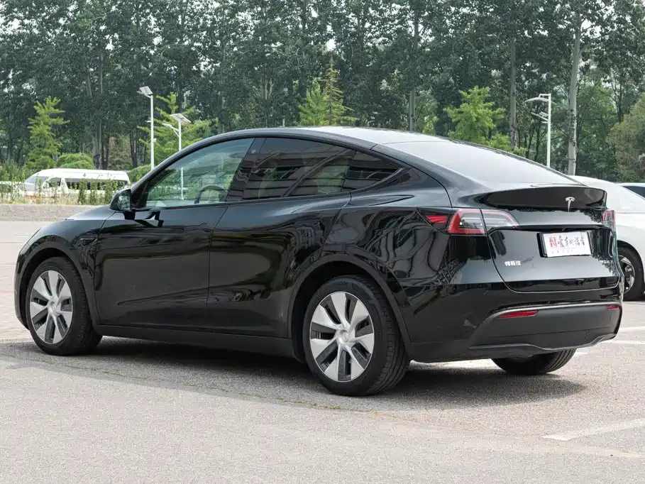 Tesla Model Y — миниатюра 5