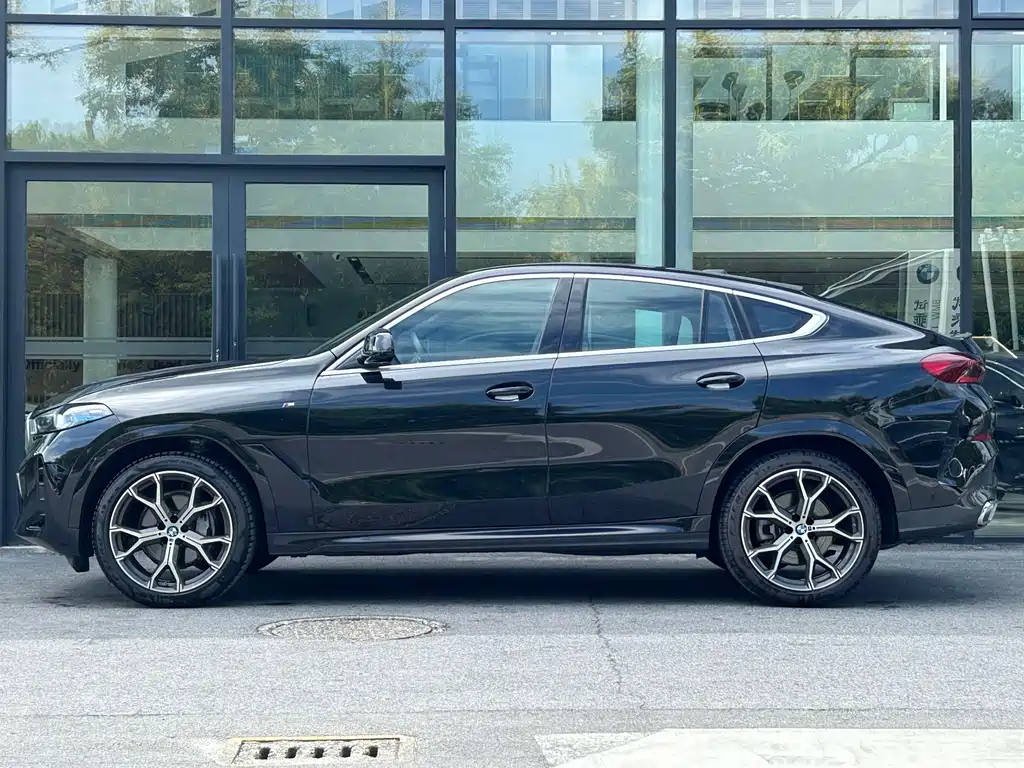 BMW X6 — миниатюра 2