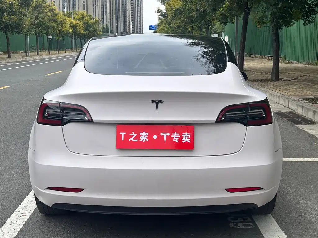 Tesla Model 3 — миниатюра 8