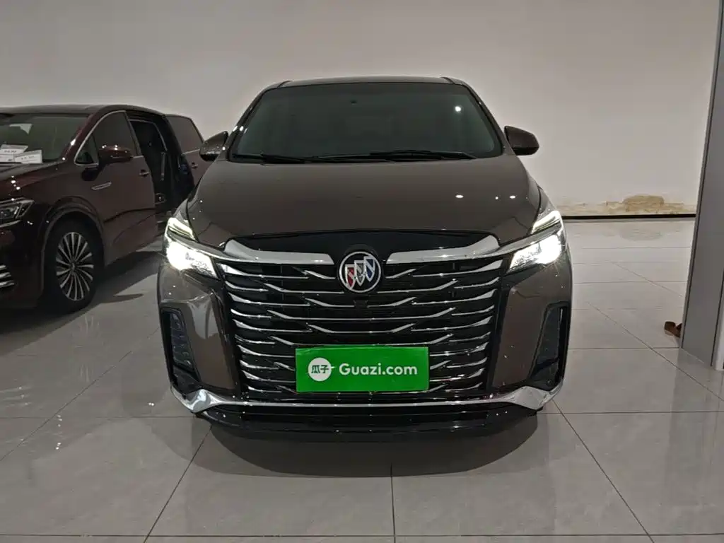 Buick GL8 — миниатюра 3