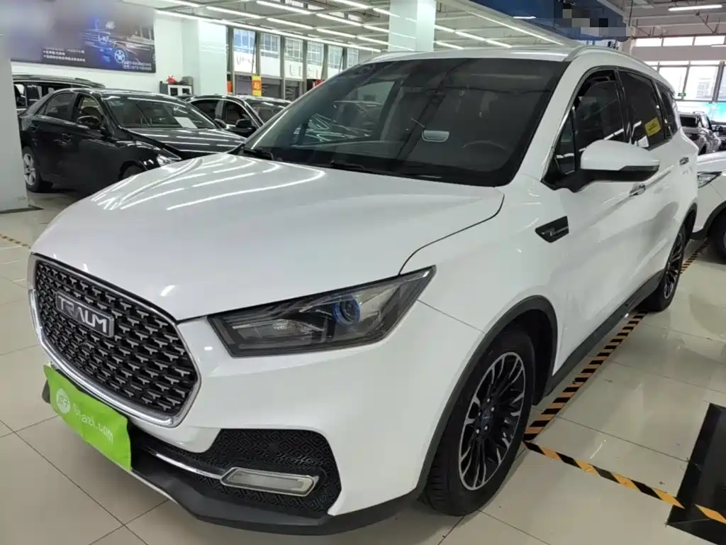Traum S70 1.5T automatic luxury 7-seater, фото 2