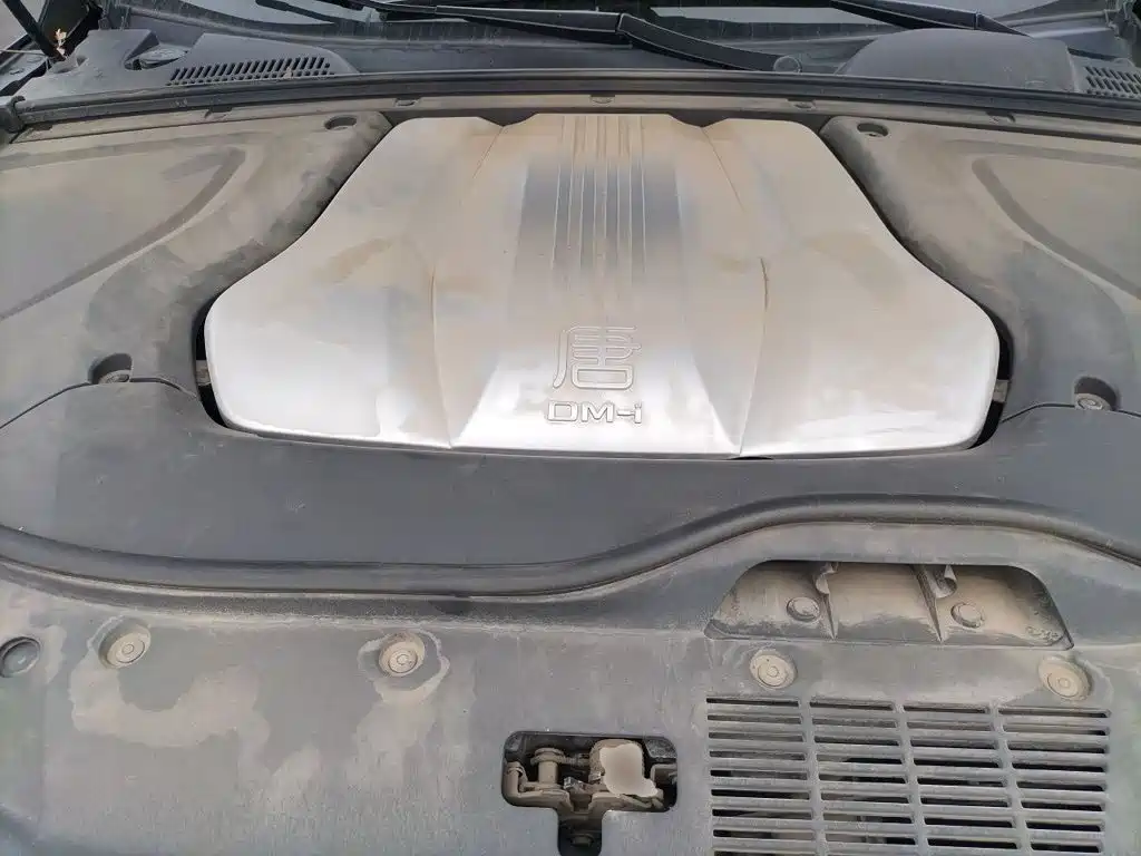 BYD Tang New Energy — миниатюра 11