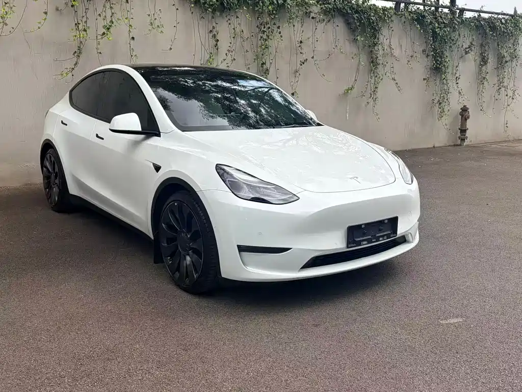 Tesla Model Y — миниатюра 4