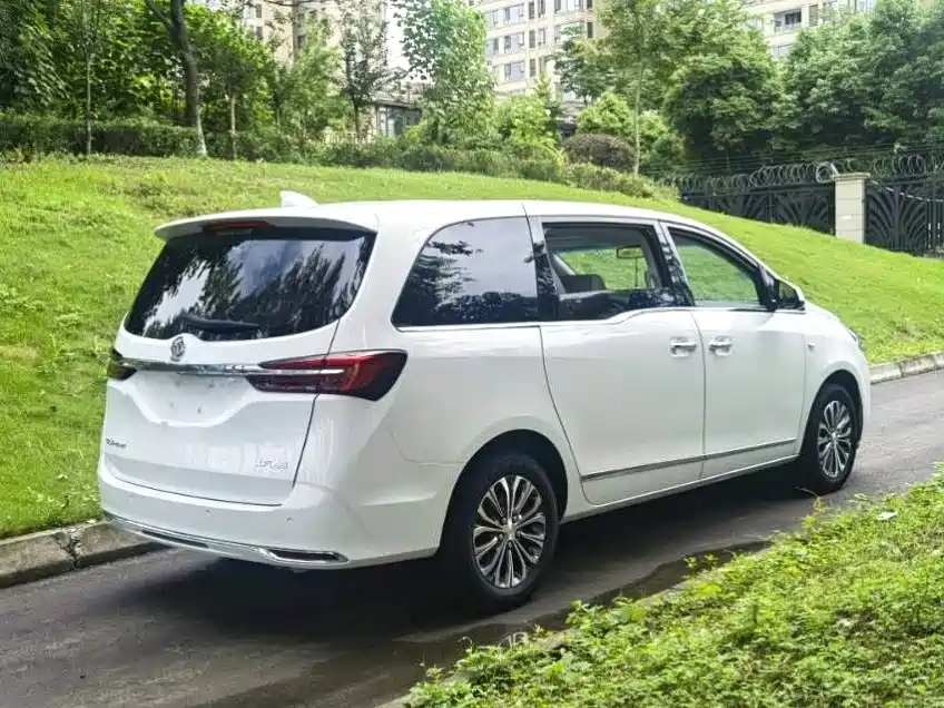 Buick GL8 — миниатюра 9