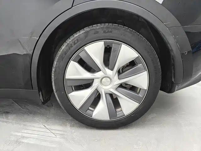 Tesla Model Y — миниатюра 10