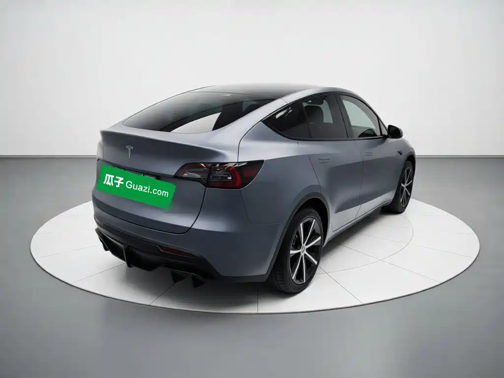 Tesla Model Y — миниатюра 6