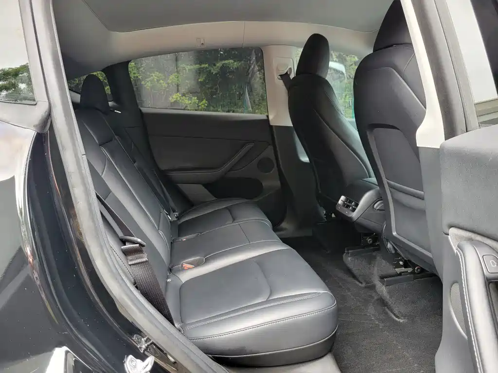 Tesla Model Y — миниатюра 12
